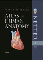 كاغذ گلاسه ، همراه با قاب Atlas of human anatomy(seven edition)