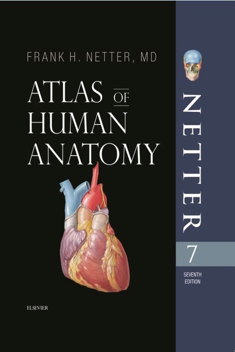  کاغذ تحریر بدون قاب Atlas of human anatomy(seven edition) 