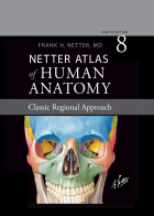 Netter Atlas Human Aanatomy 2023 گلاسه  بدون اپدیکس بدون قاب